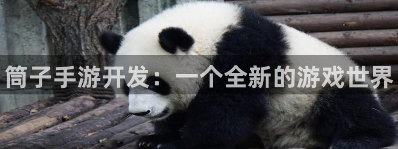 摩根娱乐网址大全：筒子手游开发：一个全新的游戏世界