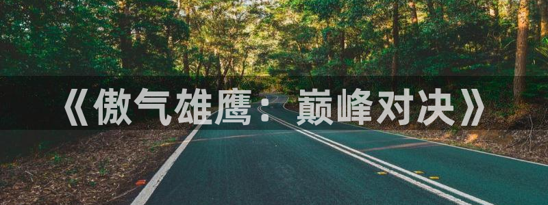 摩根娱乐官网入口网站在线观看：《傲气雄鹰：巅峰对决》