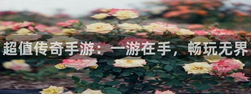 摩根娱乐挂机教程视频：超值传奇手游：一游在手，畅玩无界