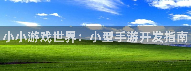 摩根娱乐是正规合法的吗安全吗：小小游戏世界：小型手游开发指南