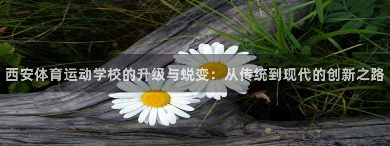oety欧亿