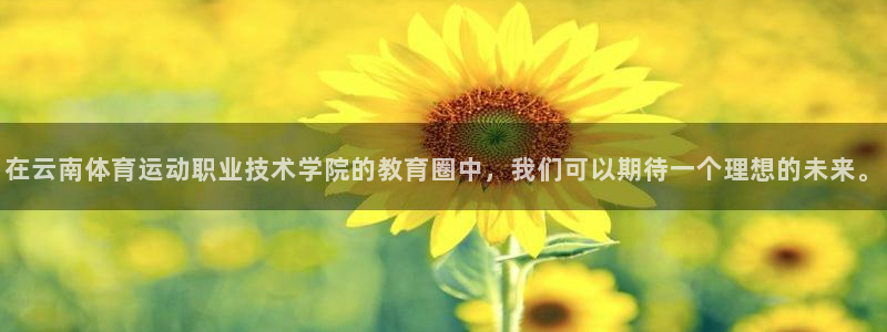 oety欧亿