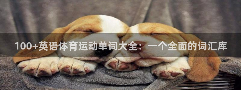 oety欧亿