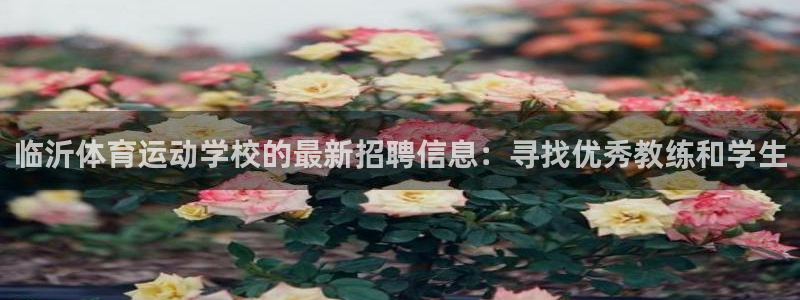 oety欧亿