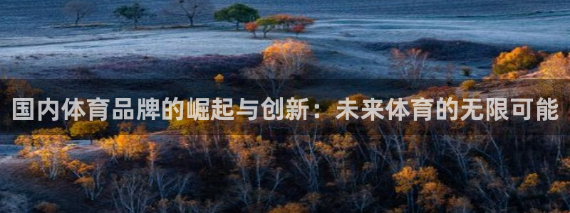 oety欧亿