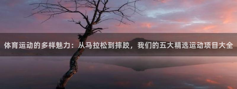 oety欧亿