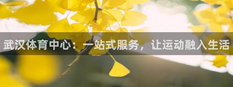 oety欧亿